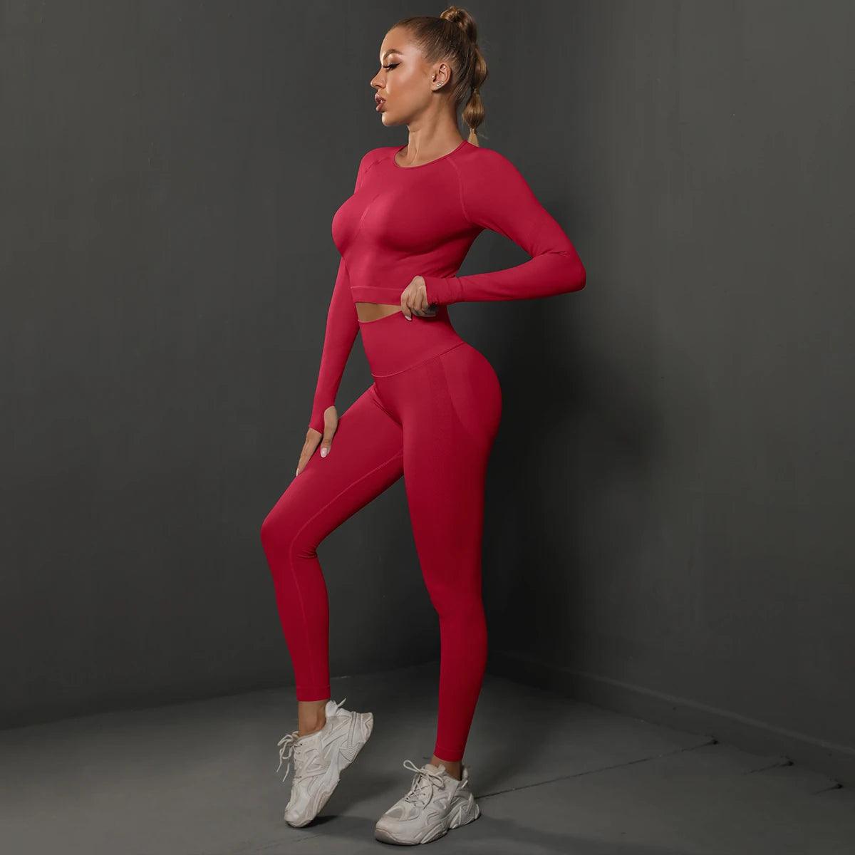 Conjunto Fitness Feminino Camiseta Manga Longa e Calça Legging Sem Costura Nuudi Store