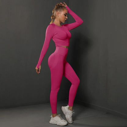 Conjunto Fitness Feminino Camiseta Manga Longa e Calça Legging Sem Costura Nuudi Store