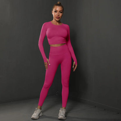 Conjunto Fitness Feminino Camiseta Manga Longa e Calça Legging Sem Costura Nuudi Store