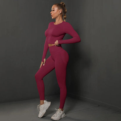 Conjunto Fitness Feminino Camiseta Manga Longa e Calça Legging Sem Costura Nuudi Store