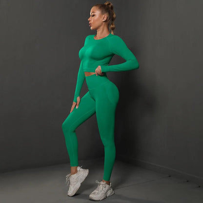 Conjunto Fitness Feminino Camiseta Manga Longa e Calça Legging Sem Costura Nuudi Store
